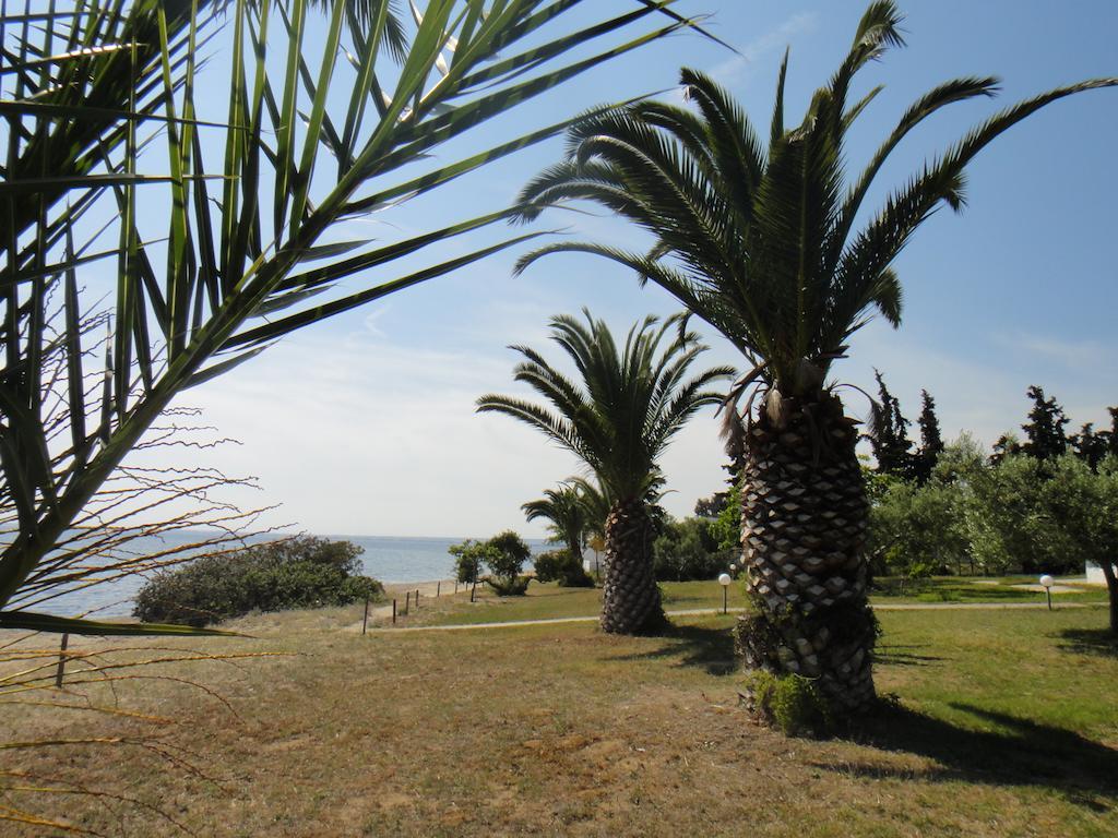 Afroditi Beach Gerakini Buitenkant foto