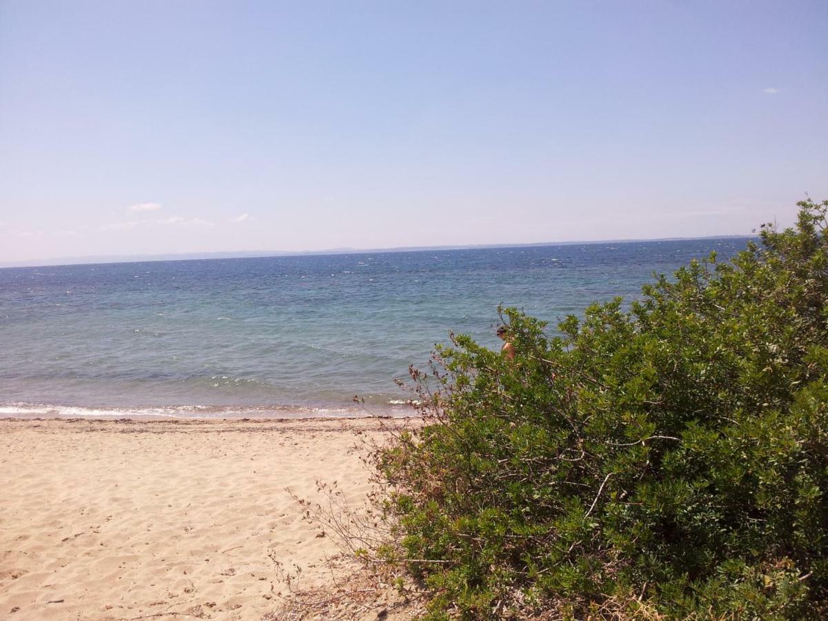 Afroditi Beach Gerakini Buitenkant foto